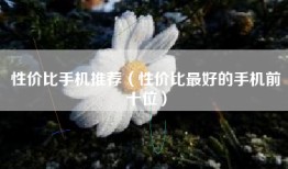 性价比手机推荐（性价比最好的手机前十位）