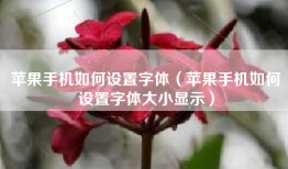 苹果手机如何设置字体（苹果手机如何设置字体大小显示）