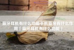 蓝牙耳机有什么功能手机蓝牙有什么作用「蓝牙耳机有什么功能」