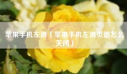 苹果手机左滑（苹果手机左滑页面怎么关闭）