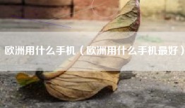 欧洲用什么手机（欧洲用什么手机最好）