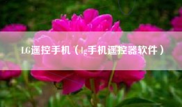 LG遥控手机（lg手机遥控器软件）