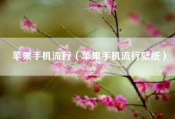 苹果手机流行（苹果手机流行壁纸）