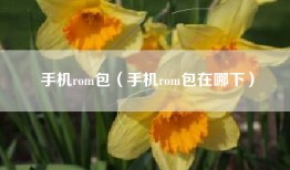 手机rom包（手机rom包在哪下）