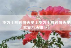 华为手机触屏失灵（华为手机触屏失灵修复方法如下）