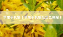 苹果手机墙（苹果手机墙纸怎么删除）