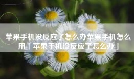 苹果手机没反应了怎么办苹果手机怎么用「苹果手机没反应了怎么办」