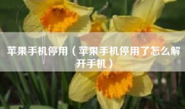 苹果手机停用（苹果手机停用了怎么解开手机）