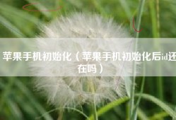 苹果手机初始化（苹果手机初始化后id还在吗）