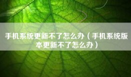 手机系统更新不了怎么办（手机系统版本更新不了怎么办）