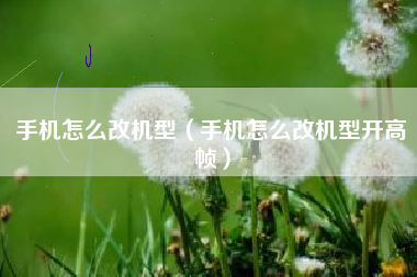 手机怎么改机型（手机怎么改机型开高帧）