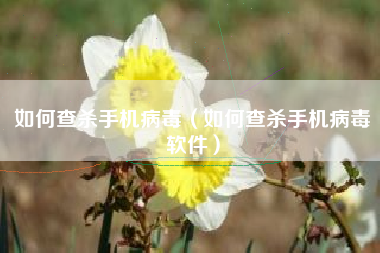 如何查杀手机病毒（如何查杀手机病毒软件）